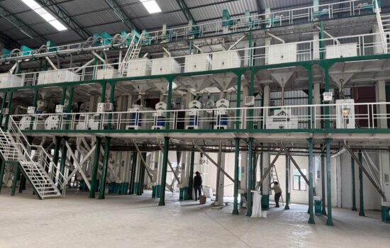 WhatsApp Image 2026-02-20 at 14.26.03