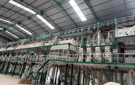 WhatsApp Image 2026-02-20 at 14.26.03(1)